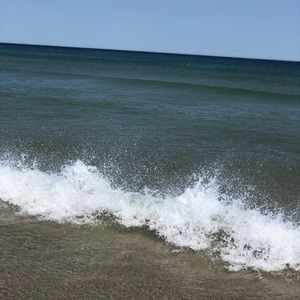 Meet your Posher, Jade